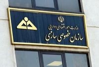 خصوصی‌سازی در سایه ابهام؛ تجربه ناکام ایران و درس‌های برزیل
