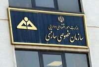 خصوصی‌سازی در سایه ابهام؛ تجربه ناکام ایران و درس‌های برزیل
