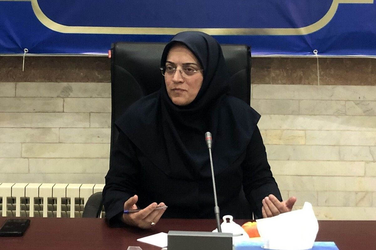 صادرات کیوی از ۷ مهر آزاد می‌شود
