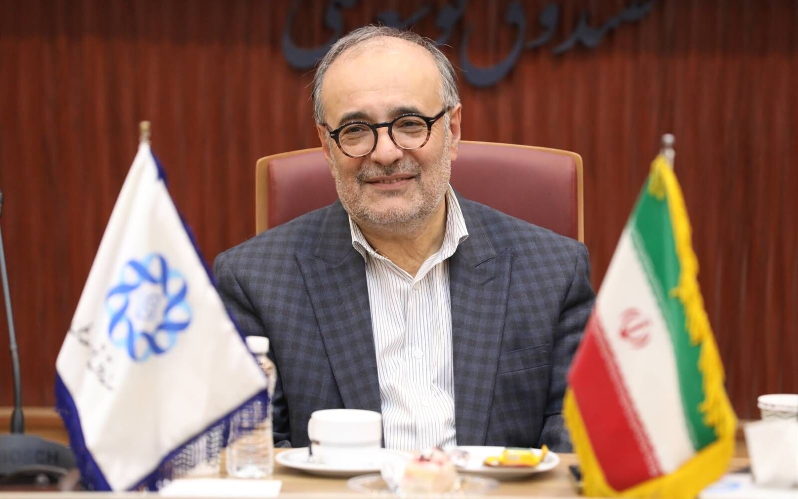 بخش قابل توجهی از منابع صندوق توسعه، قابل برداشت نیست