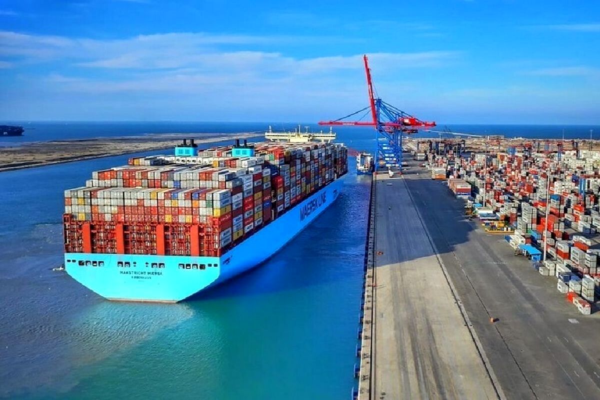 صادرات این میوه مجاز شد
