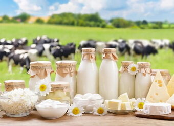چه عواملی در گرانی قیمت لبنیات نقش دارند؟