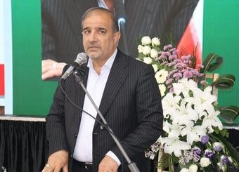 دام‌ها در مزارع سبز گندم در حال چرا هستند
