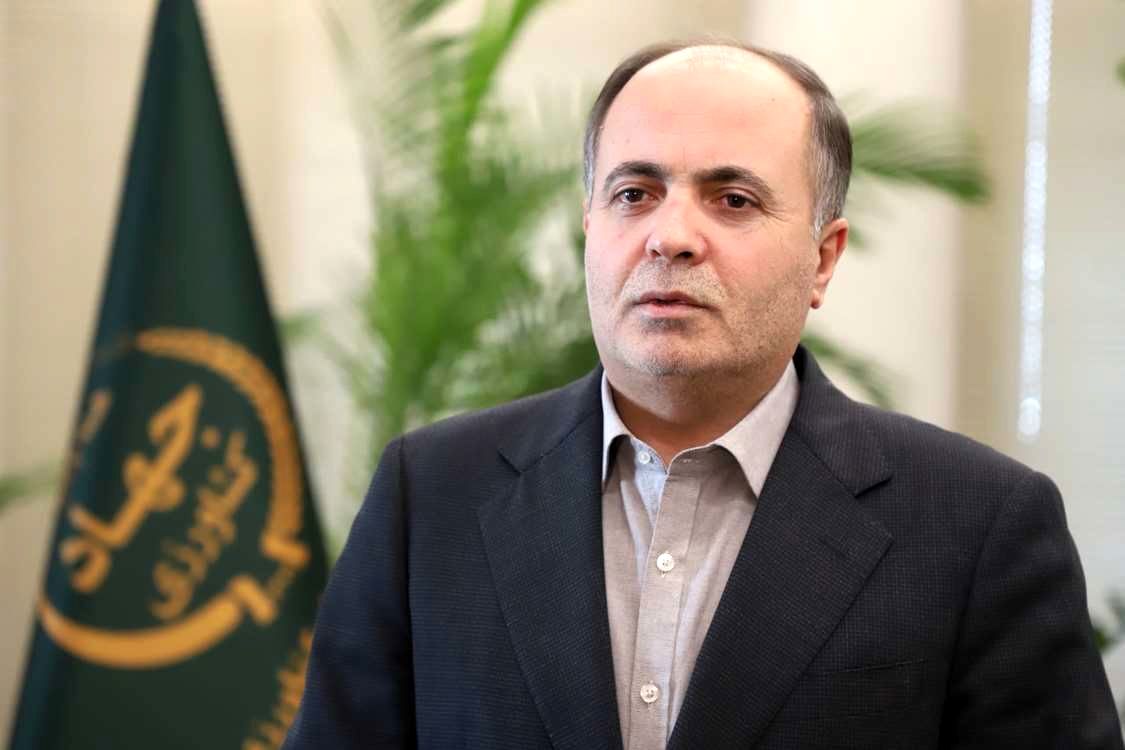 ارز ترجیحی نهاده‌های دامی تا پایان سال حذف نمی‌شود
