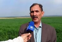 بحران بذر دیم در سال خشکسالی؛ ضرورت تسریع در پرداخت یارانه

