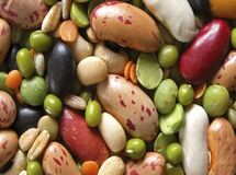 سفر حبوبات به ایران؛ از دروازه امارات تا بازارهای منطقه
