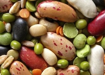 سفر حبوبات به ایران؛ از دروازه امارات تا بازارهای منطقه
