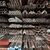 قیمت انواع لوله فولادی در تاریخ  20 مهر 1405؛ جدیدترین قیمت لوله گالوانیزه و جدار چاه/ ثبات قیمت لوله؛ آرامش یا انتظار تغییر