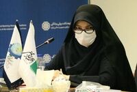آن‌قدر سامانه داریم که همه پنجره‌ساز شده‌اند!