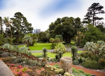 ۳۵ هزار میلیارد ریال خرج پروژه متوقف‌شده؛
 گیاه‌شناسی مخابرات به بن‌بست خورد! 