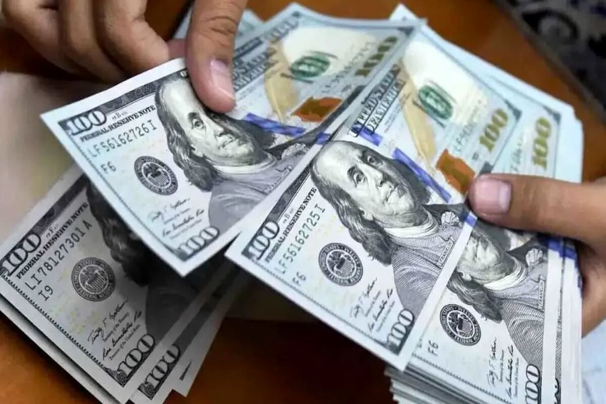 قیمت دلار و طلا پس از فعال شدن ماشه/ توضیحات فرزین درباره آماده باش بانک مرکزی!
