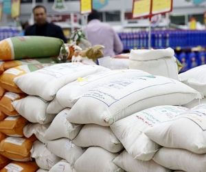 سفره رنگین دلالان برنج با ارز ترجیحی/ چرا ارز ترجیحی همواره به رانت و فساد منجر می‌شود؟
