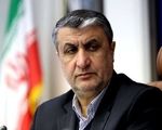 نقش فناوری هسته‌ای در پیشبرد سایر صنایع/ امکان گشایش اقتصادی با پرتودهی محصولات کشاورزی

