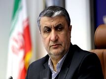 نقش فناوری هسته‌ای در پیشبرد سایر صنایع/ امکان گشایش اقتصادی با پرتودهی محصولات کشاورزی

