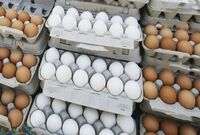 قیمت هر کیلوگرم تخم‌مرغ درب مرغداری به ۱۳۵ هزار تومان رسید
