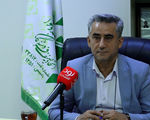 تعدیل نیروی ۲۰ درصدی برخی چاپخانه‌ها در پی گرانی کاغذ