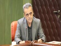 مجوز واردات ۵.۵ میلیون تن نهاده‌های دامی از ستاد تنظیم بازار اخذ شد
