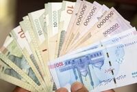 چه کسانی مشمول یارانه ویژه دولت می‌شوند؟
