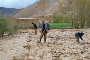 قائم‌مقام صندوق بیمه‌ کشاورزی: به کشاورزان بیمه‌شده غرامت می‌دهیم