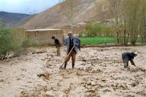 قائممقام صندوق بیمه کشاورزی: به کشاورزان بیمهشده غرامت میدهیم
