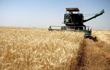 واحدهای صنفی کشاورزی در راستای قانون انتزاع ساماندهی میشوند