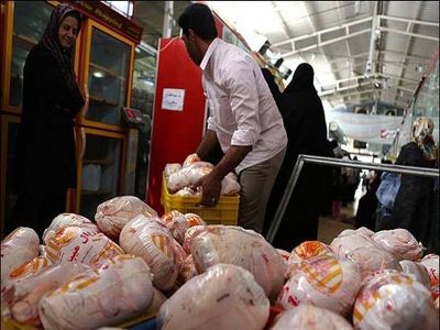 بیش از 100 هزار تن مرغ برای ماه رمضان ذخیره‌سازی شده است