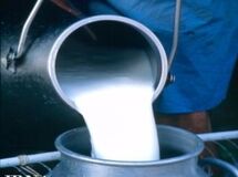 عضو هیأت مدیره صنایع لبنی: یارانه دولت به شیرخام حذف میشود
