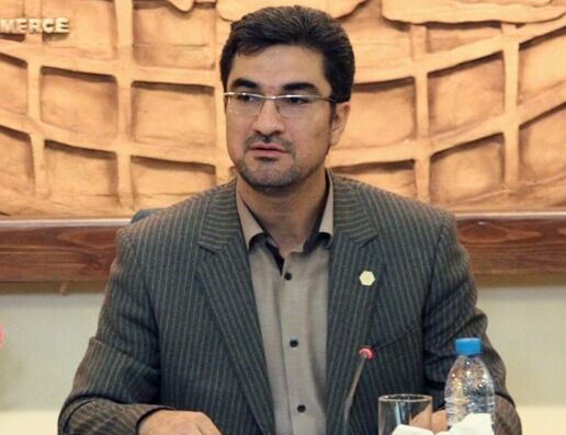 مدیرعامل صندوق ضمانت صادرات: 50 درصد تعهدات صندوق تكلیفی است