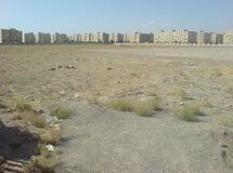 شهرداری باید پاسخگوی ساخت وساز غیر مجاز در بوستان مادر باشد