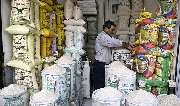 چگونه سود 410 میلیاردی برنج، کشاورزان را فلج کرد