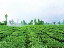 رئیس مرکز آمار: سرشماری عمومی کشاورزی مهرماه برگزارمی‌شود