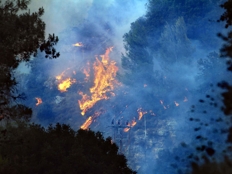 رئیس سازمان جنگلها: خاموش کردن آتش در جنگل با بیل توجیهی ندارد