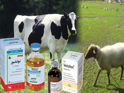 پنج قلم داروی جدید دامی در کشور تولید شد