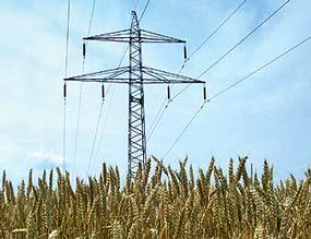 مدیرعامل توانیر: 16.3 درصد برق کشور در بخش کشاورزی مصرف میشود