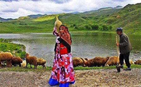 رئیس سازمان عشایر: 212 هزار خانوار عشایری در کشور وجود دارد