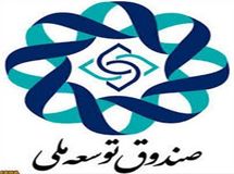 مدیر امور اقتصادی و برنامه‌ریزی استراتژیک صندوق توسعه ملی تعیین شد