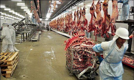 گزارش مرکز آمار از وضعیت تولید گوشت در کشتارگاه‌ها منتشر شد
