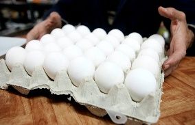 نوری: فروش دانهای تخممرغ فضا را برای سودجویان فراهم میکند