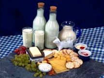 استفاده از روغن پالم و چربی گیاهی از فردا در هیچ یک از محصولات لبنی بجز بستنی مجاز نیست