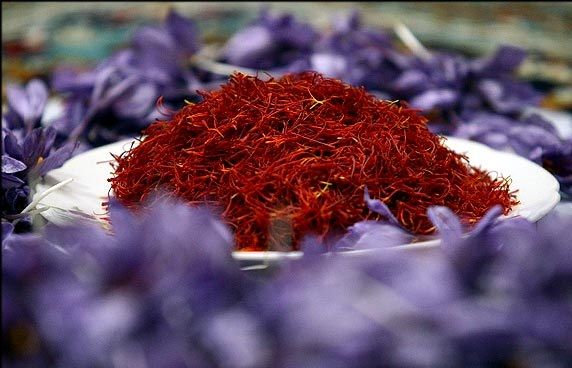 معاون رئیسجمهور: سهم ایران از صادرات گیاهان دارویی450 میلیون دلار است