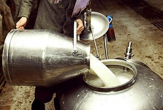 معاون وزیر جهاد: ماهیانه 75 میلیارد تومان یارانه  شیر به دامداران پرداخت می‌شود