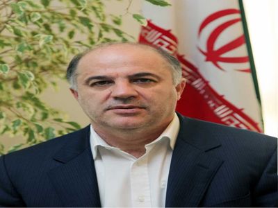 مدیرعامل شرکت توانیر: تلفات برق به 10 درصد رسید