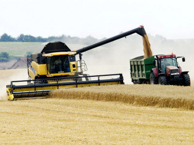 رجایی: بالاترین بودجه باید به بخش کشاورزی اختصاص یابد