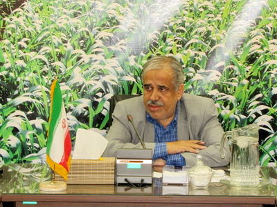 معاون وزیر جهاد: سیستم آبیاری نوین در چهار میلیون هکتار از اراضی کشاورزی اجرا شده است