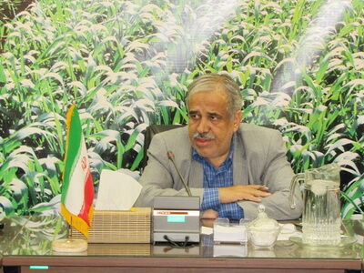 معاون وزیر جهاد: اعتبارات آبیاری تحت فشار  10 هزار میلیارد افزایش یافته است