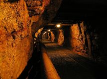 بخش خصوصی امکان ورود به فرآوری همه فلزات گرانب‌ها به جز اورانیوم را دارد