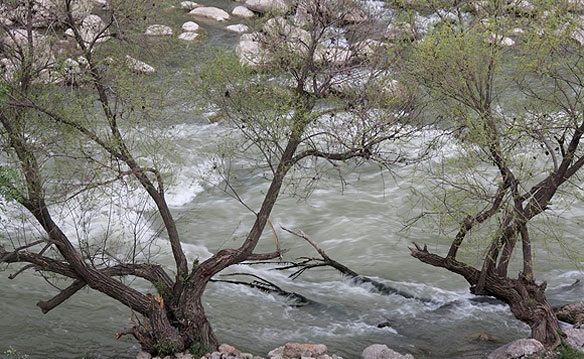 حجم روان‌آب‌های کشور50 درصد کاهش یافت