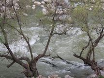 حجم روان‌آب‌های کشور50 درصد کاهش یافت