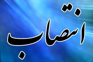 سرپرست دفتر مقررات ملی ساختمان منصوب شد