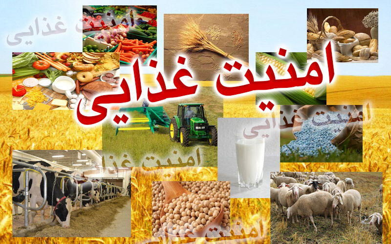 توزیع مرحله سوم سبد حمایت غذایی دولت آغاز شد